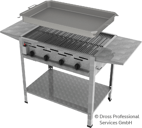 Grill Dross Professioinal Services GmbH